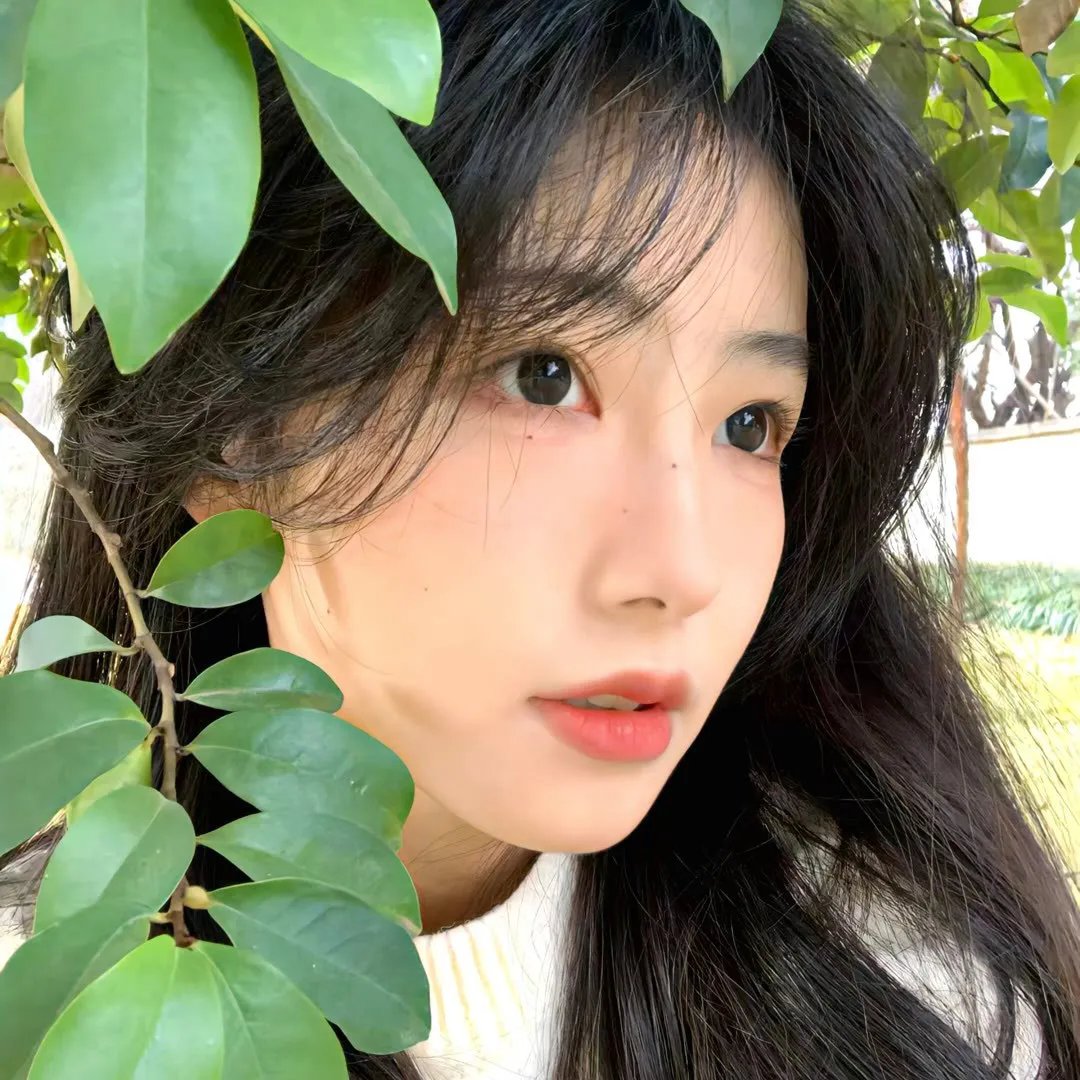 冬天的故事